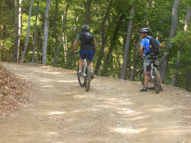  En bicicleta de cerro por el bosque 