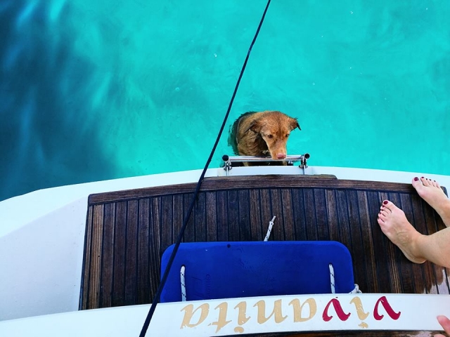  Un nuevo invitado a bordo 