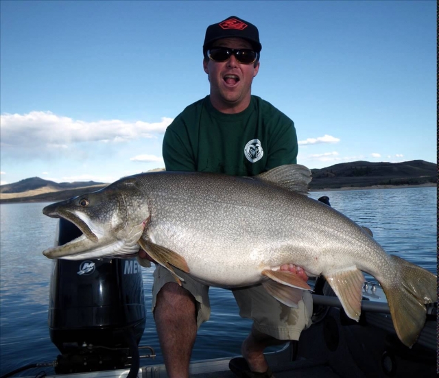 Definitivamenle un buen botín 