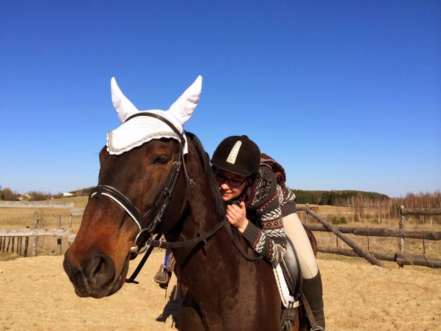  Caballo amiciza 