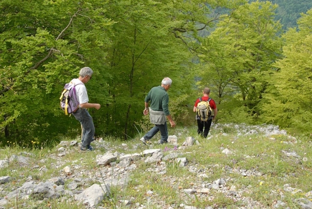  Compañeros de trekking 