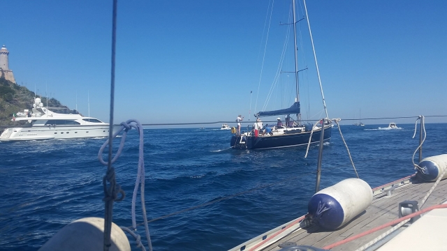  ¡Veleros de todo tipo! 