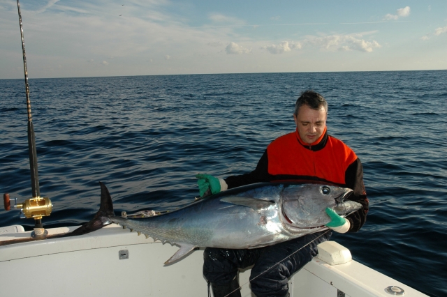  pesca deportiva 