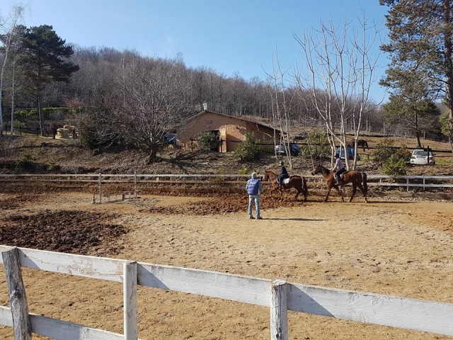  Clase de equitación 