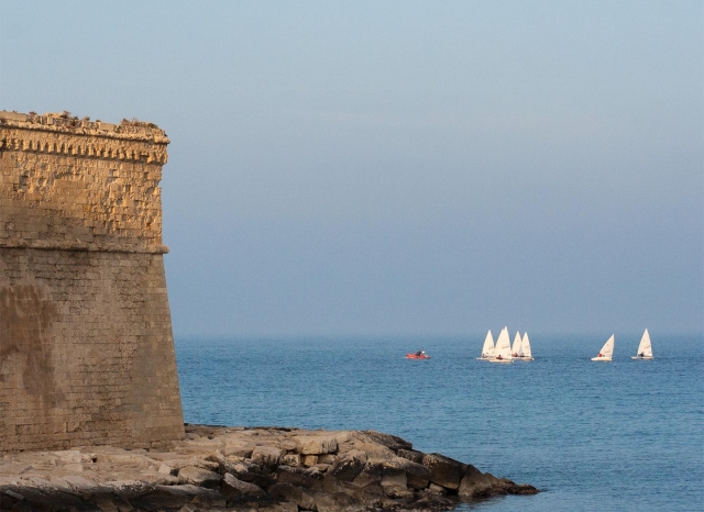  Monopoli y su torre 