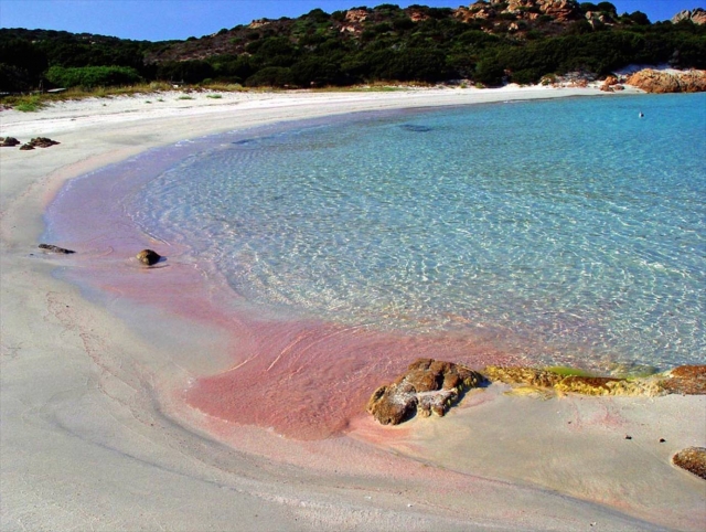  La playa rosa de tripa 