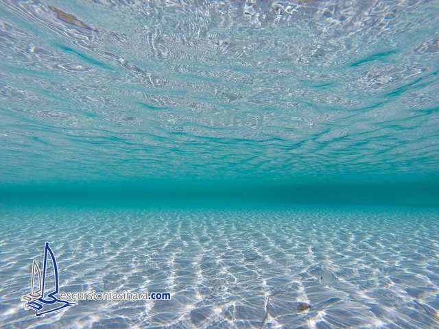  el fondo marino encantado 