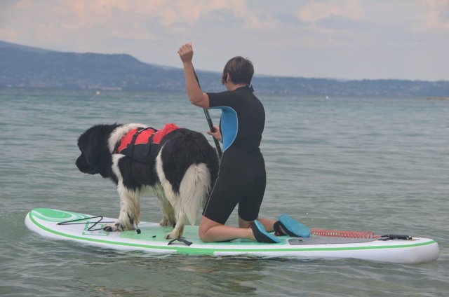  Remando en el lago en compañía 