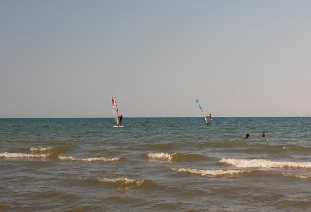  Cursos y lecciones de windsurf 