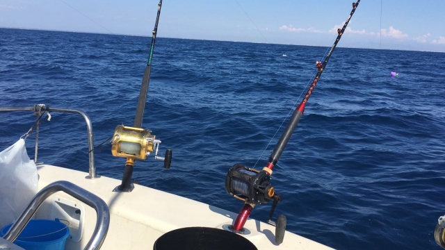  El equipo a su disposición 