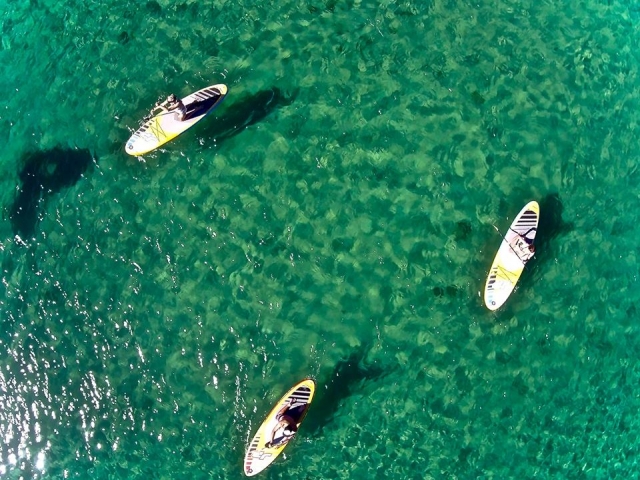  Paddle board en Porto Pollo 