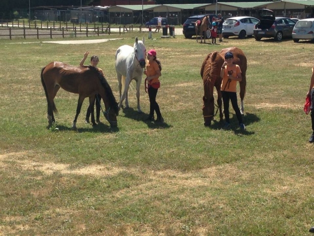  Nuestra escuela de equitación 