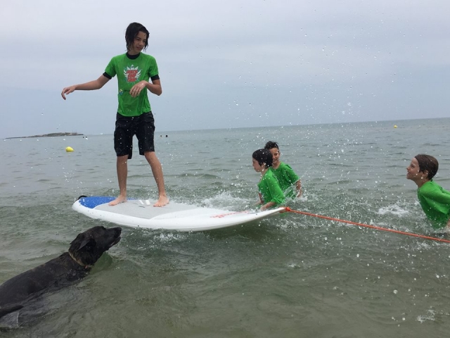  Pequeños surfistas 