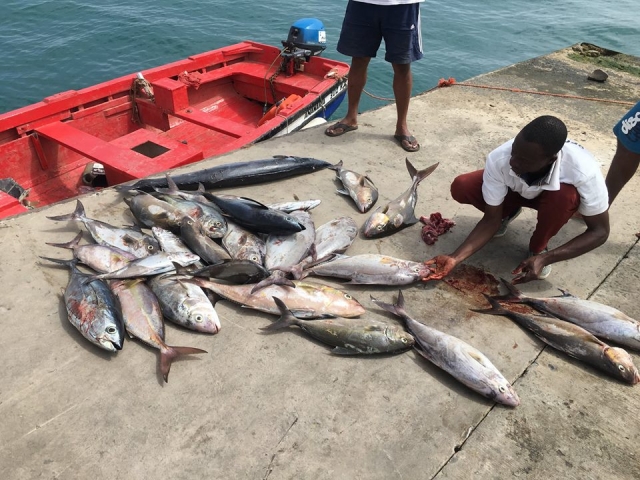  El botín del día de pesca 
