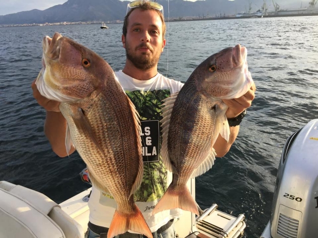  Los pargos 