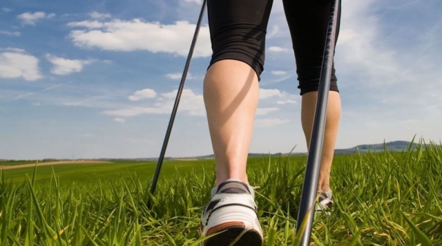  Alrededor de los campos 