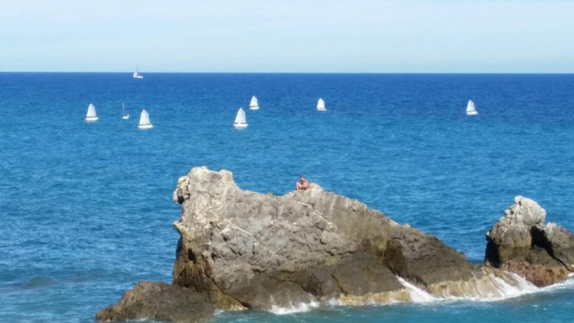  Cursos con nuestros optimistas 