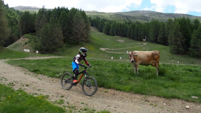  para los más pequeños 