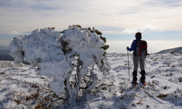  un pequeño descanso 