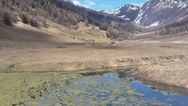  El valle sin nieve 