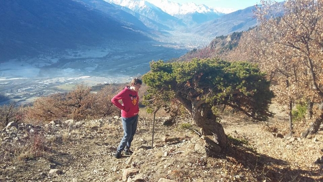 Un bonsai natural encontrado duranle el trekking 