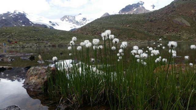  Excursiones por las pistas 