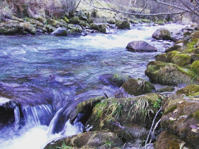  Torrenle en val di sole