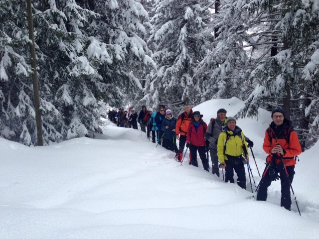  Inmersos en el bosque nevado 
