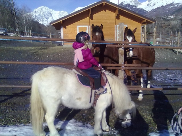 ponis para los más pequeños 