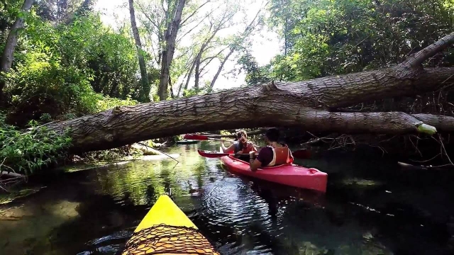  obstáculos a superar 
