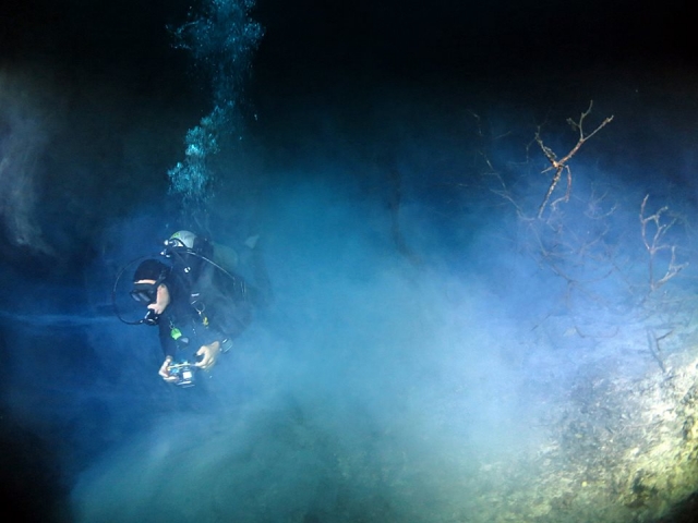  caminando en el fondo marino 