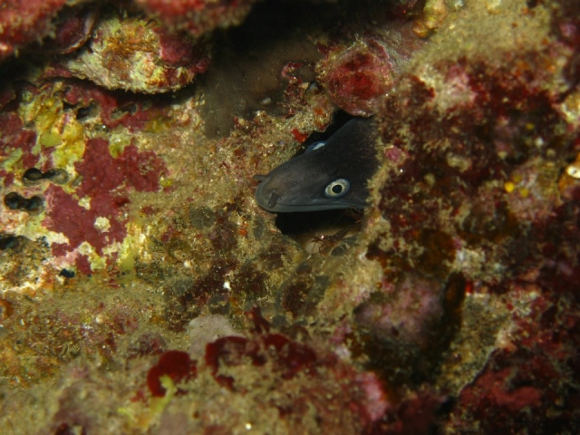 una muestra del fondo marino 