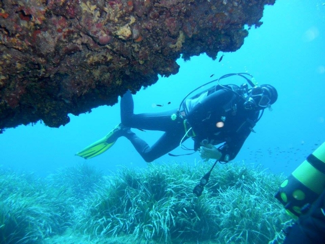 descubriendo las maravillas marinas 