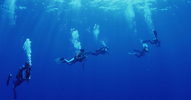  perdidos en el azul profundo 
