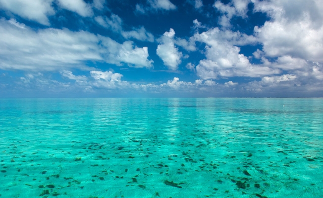  las cristalinas aguas que nos rodean 