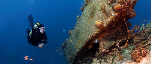  en busca de reliquias 