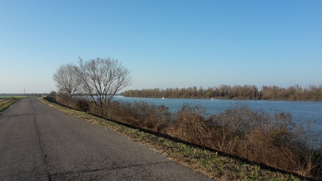  a lo largo de las orillas