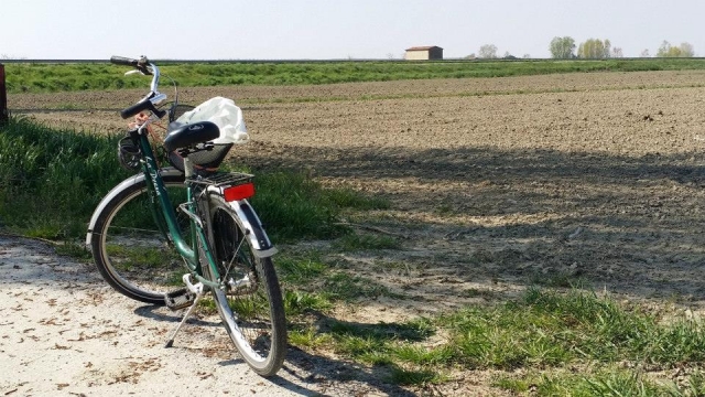  paseando por los campos 