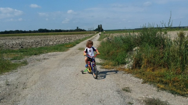  bicicletas también para los más pequeños