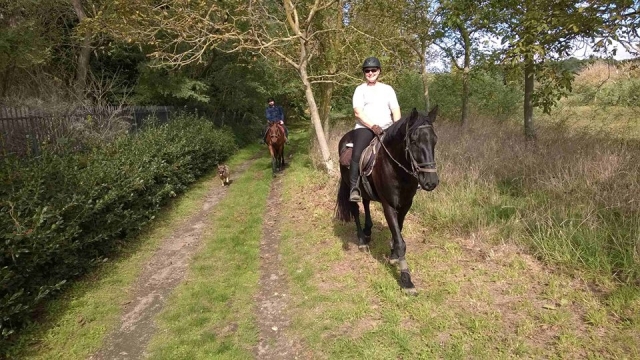  a lo largo de los senderos 