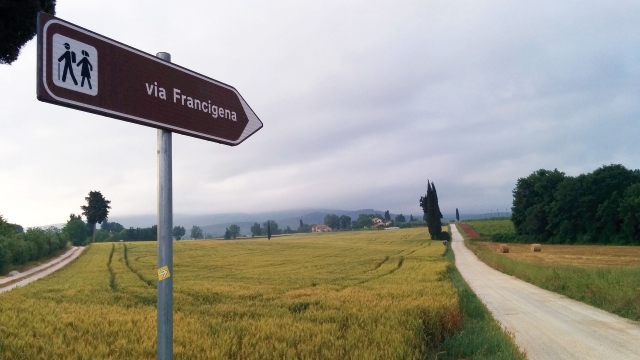  la via francigena 