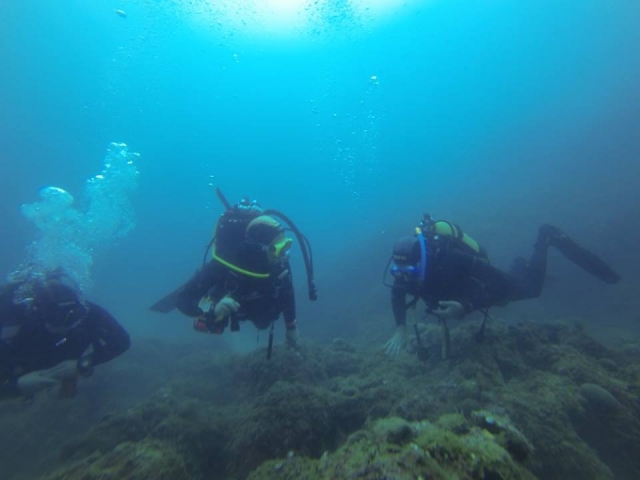  cursos de buceo