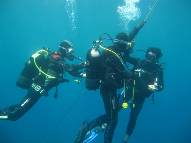  cursos de padi 