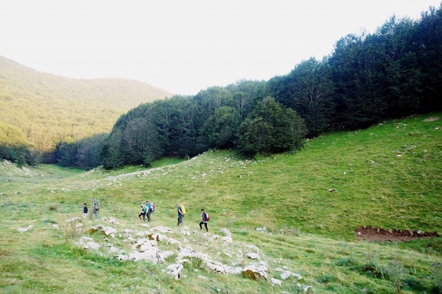  caminamarras por la naturaleza 