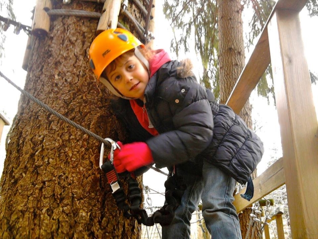  actividades en el parque 