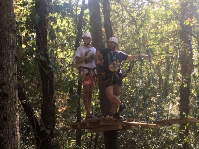 a través de las plataformas 