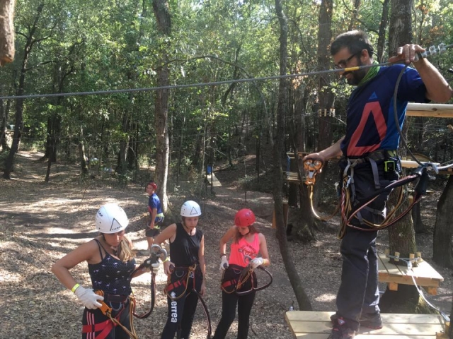  sistemas de seguridad 