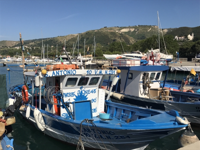  im barco con nosotros 