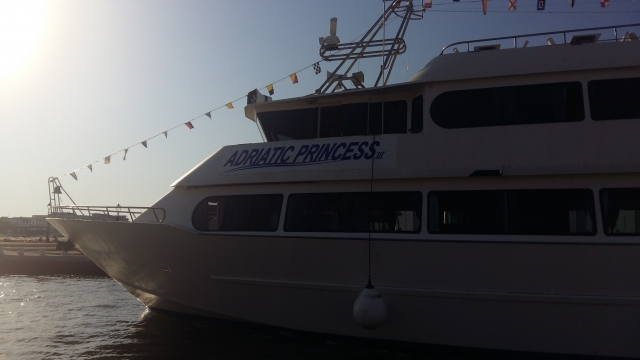 Barco a motor Adriatic Princess III 