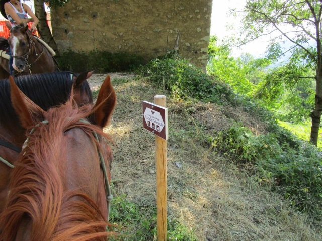  Caminos trazados 